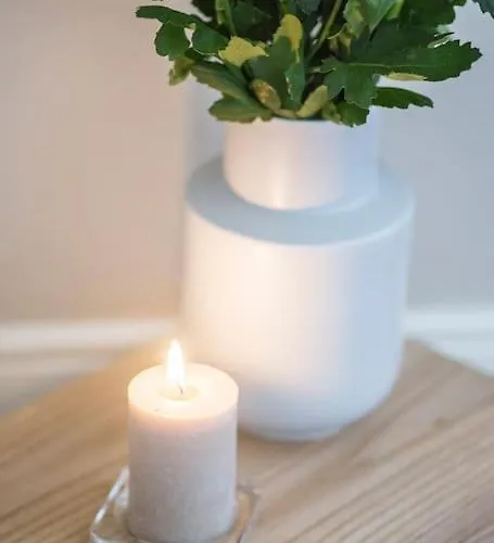 Classy Flat At Marques Square With Garden * Porto