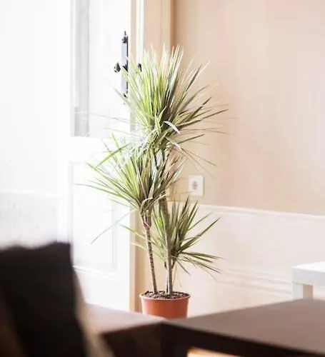 Classy Flat At Marques Square With Garden Lejlighed