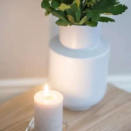 Classy Flat At Marques Square With Garden * Porto