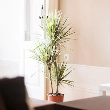 Classy Flat At Marques Square With Garden Apartment